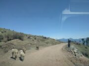 PWD (R&B) starts upgradation work on #Patnitop-#Sanasar Road