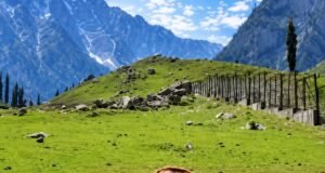 Kashmir Pony Gets Official Indigenous Breed Recognition from ICAR-NBAGR