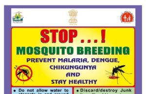 Health Advisory: Stop Mosquito Breeding Around Your Home